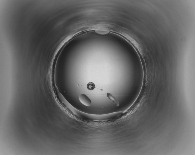 X0000116870949200912221403