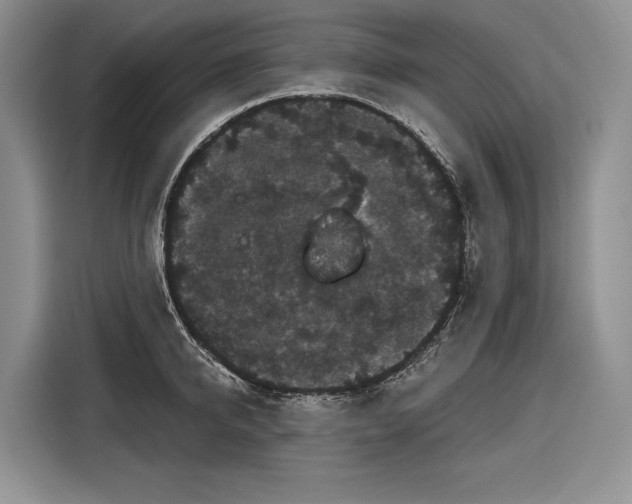 X0000116870950200912221403