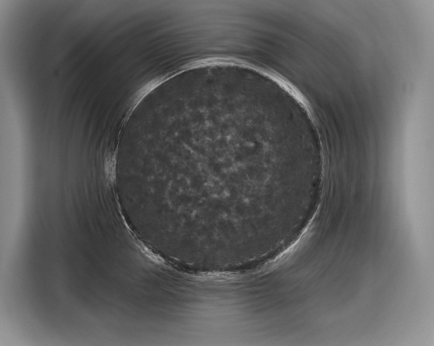X0000116870953200912221403