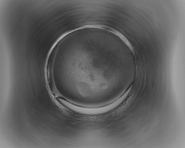 X0000116870955200912221403