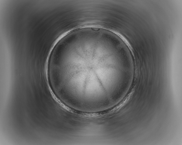 X0000116870957200912221403