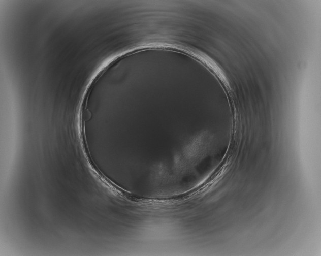 X0000116870958200912221403