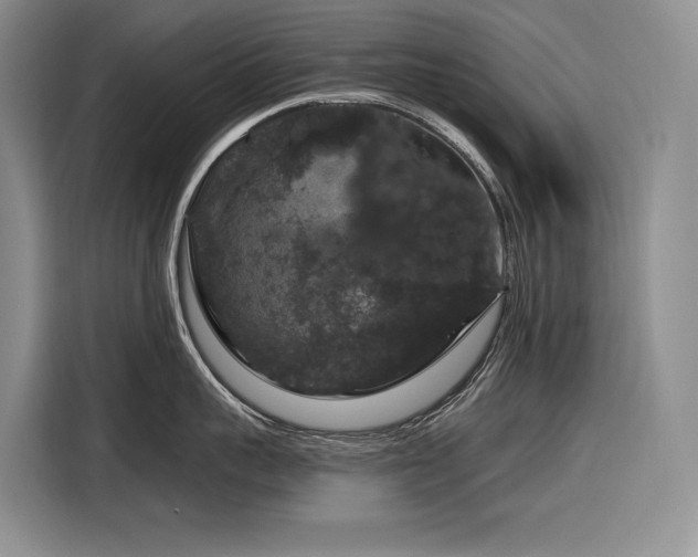 X0000116870959200912221403