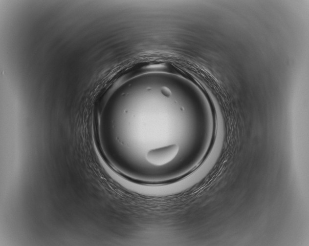 X0000116870965200912221402