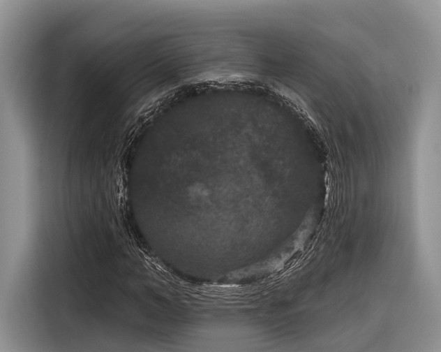 X0000116870966200912221402