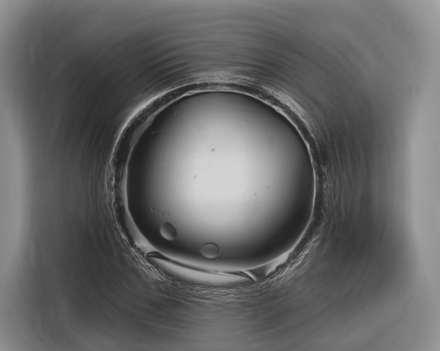 X0000116870971200912221402