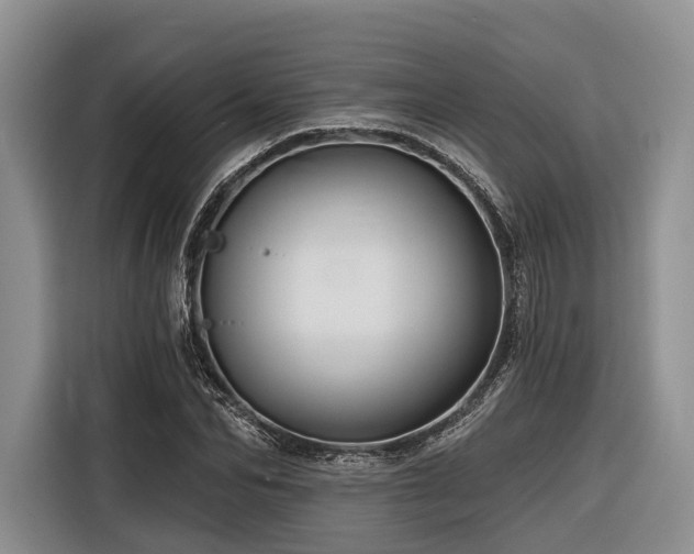 X0000116870974200912221402