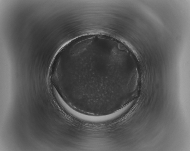 X0000116870975200912221402