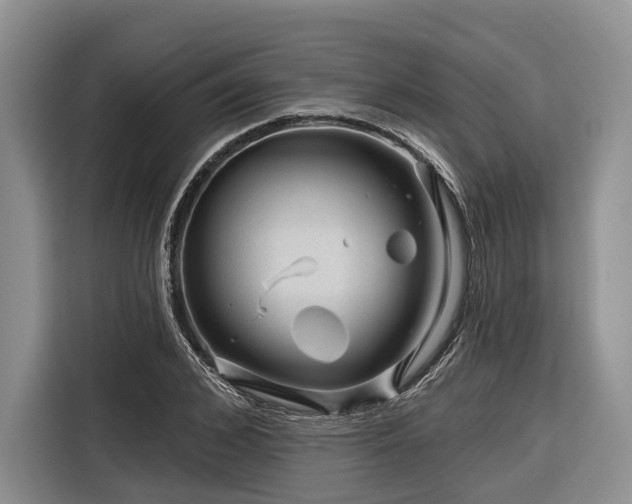 X0000116870976200912221402