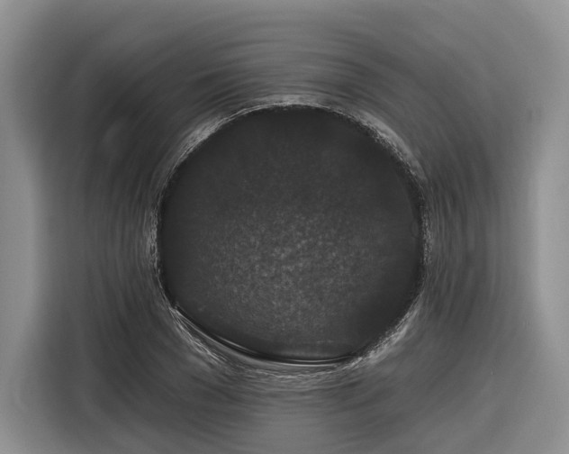 X0000116870977200912221402