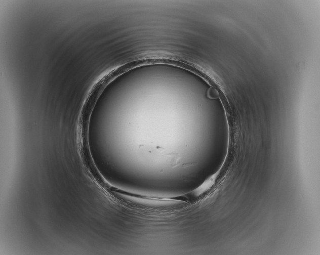 X0000116870979200912221402