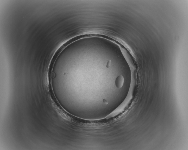X0000116870980200912221402