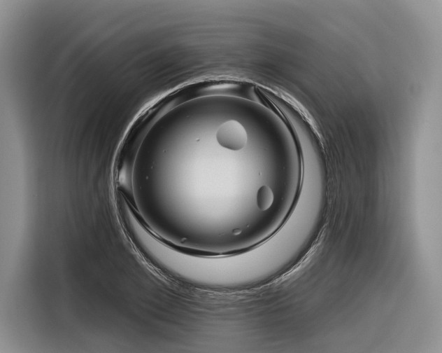 X0000116870981200912221402