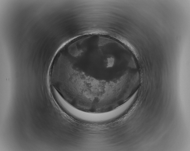 X0000116870983200912221402
