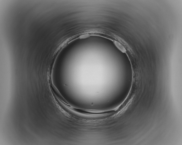 X0000116870985200912221402