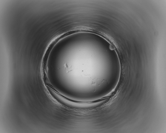 X0000116870987200912221402