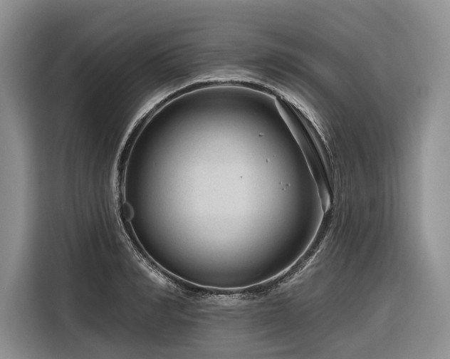 X0000116870990200912221402