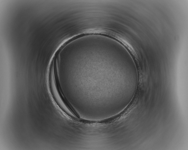 X0000116870992200912221402