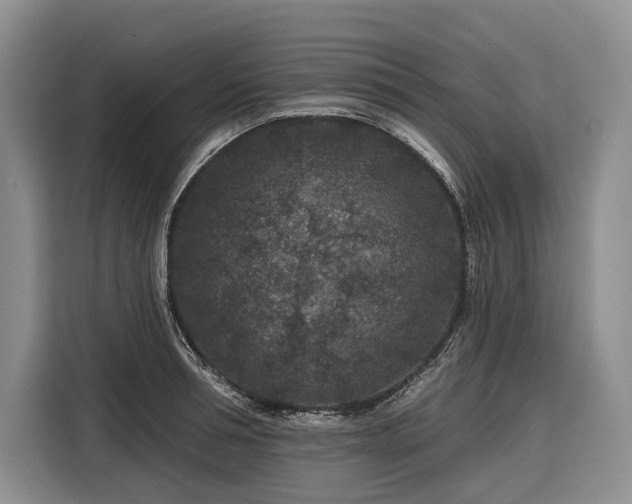 X0000116870994200912221402