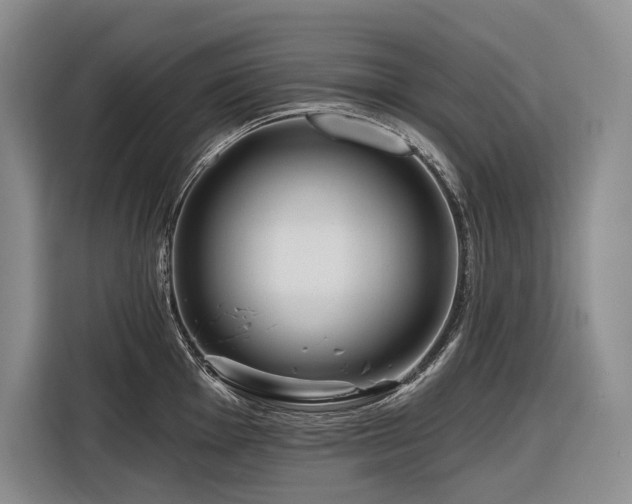 X0000116871001200912221402