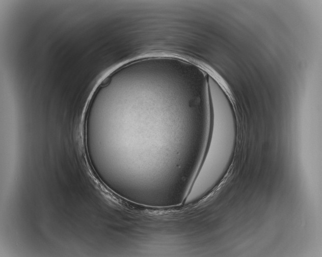 X0000116871004200912221402