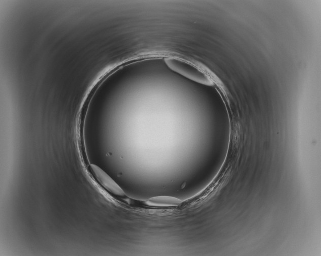 X0000116871005200912221402