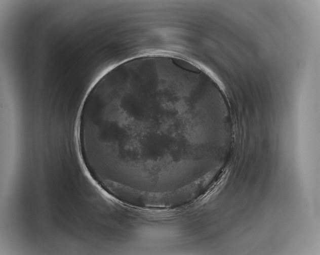 X0000116871007200912221402