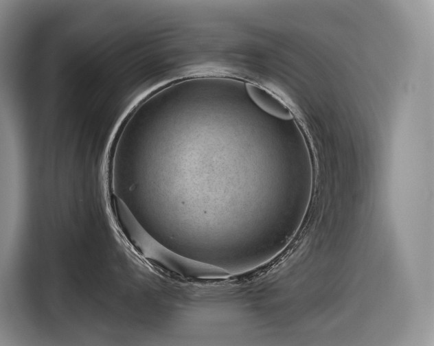 X0000116871008200912221402