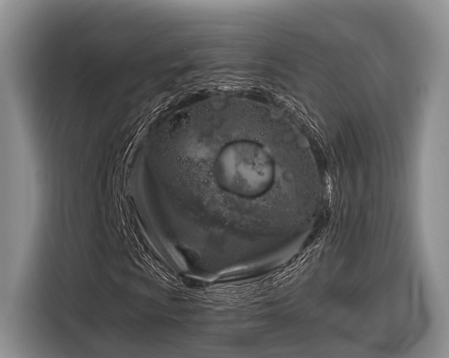 X0000116871009200912221401