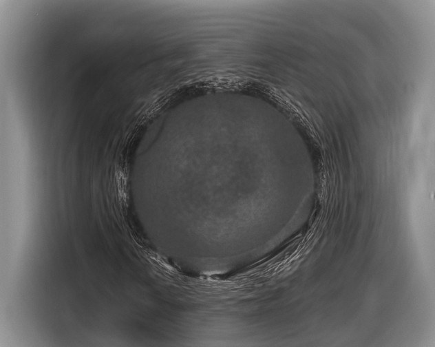X0000116871010200912221401