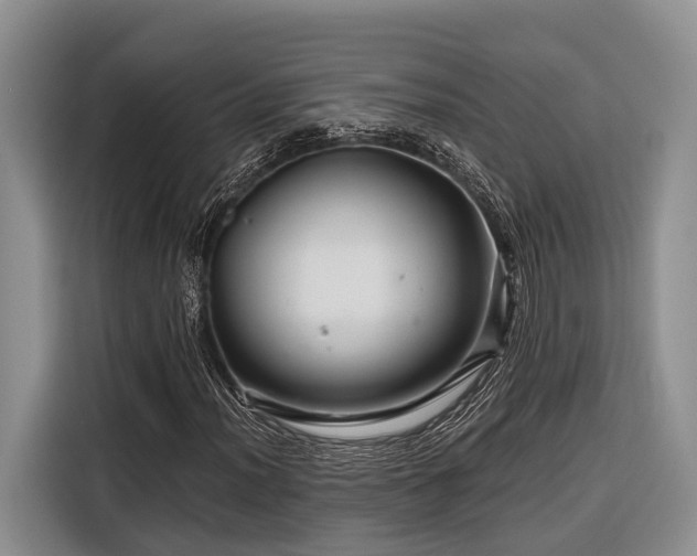 X0000116871012200912221401