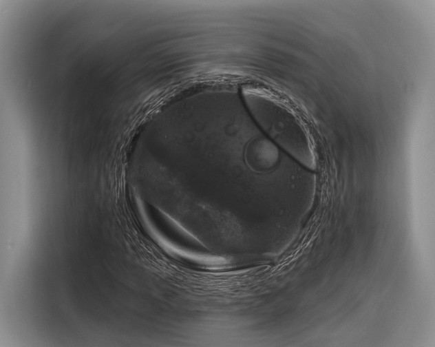 X0000116871013200912221401