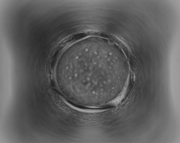 X0000116871015200912221401