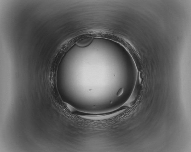 X0000116871016200912221401