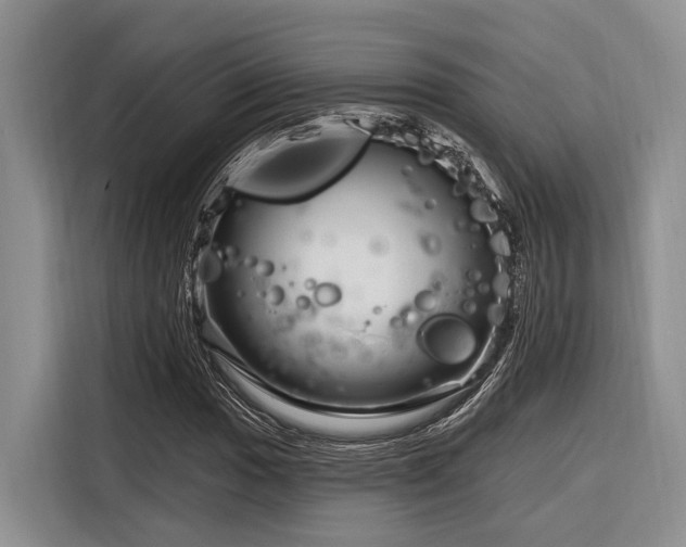 X0000116871017200912221401