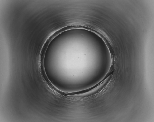 X0000116871020200912221401