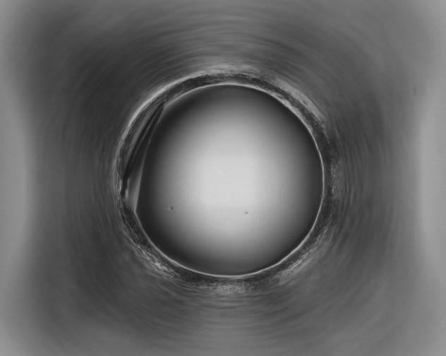 X0000116871021200912221401