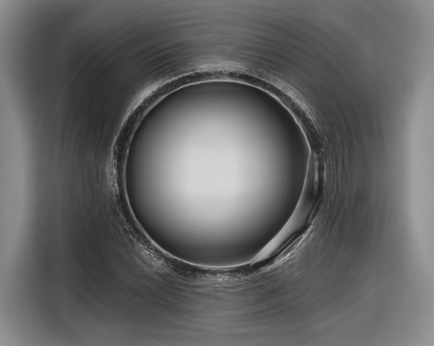 X0000116871022200912221401