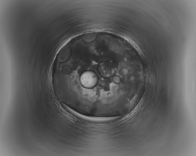 X0000116871023200912221401