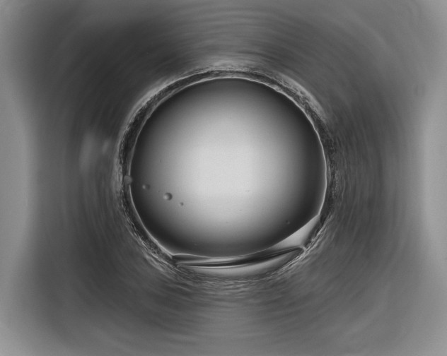 X0000116871027200912221401