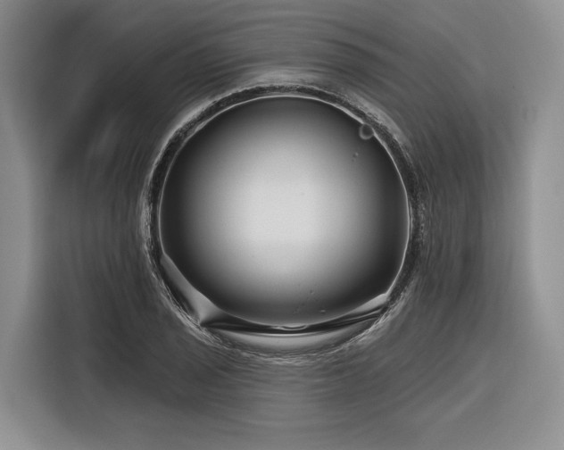 X0000116871029200912221401