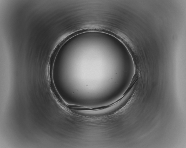 X0000116871030200912221401