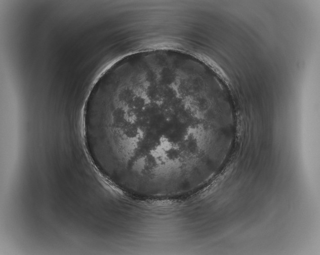 X0000116871031200912221401