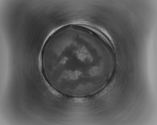 X0000116871032200912221401
