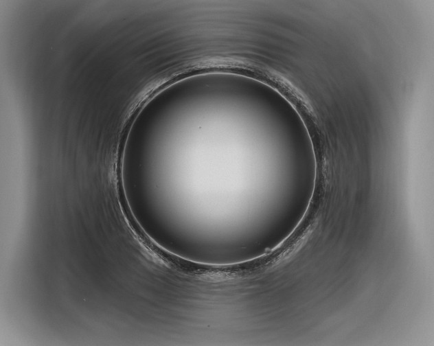 X0000116871033200912221401