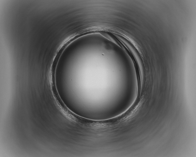 X0000116871034200912221401
