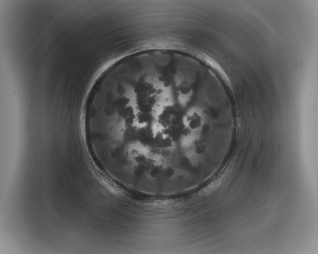 X0000116871035200912221402