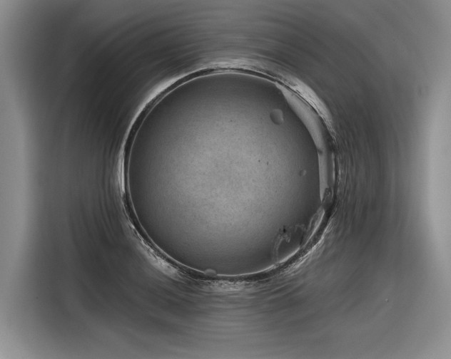 X0000116871036200912221402