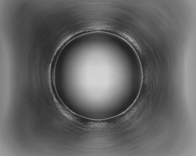 X0000116871039200912221402