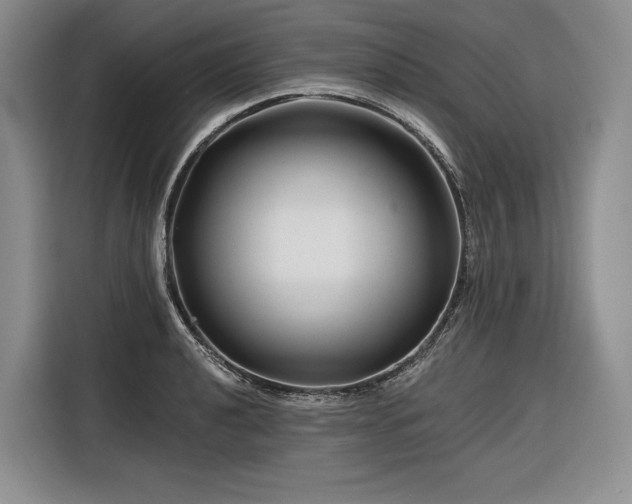 X0000116871040200912221402